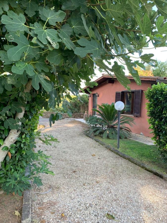 La Casa Di Irene Nel Golf Club Villa Roma Dış mekan fotoğraf
